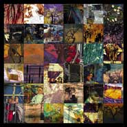 lenticular quilt image